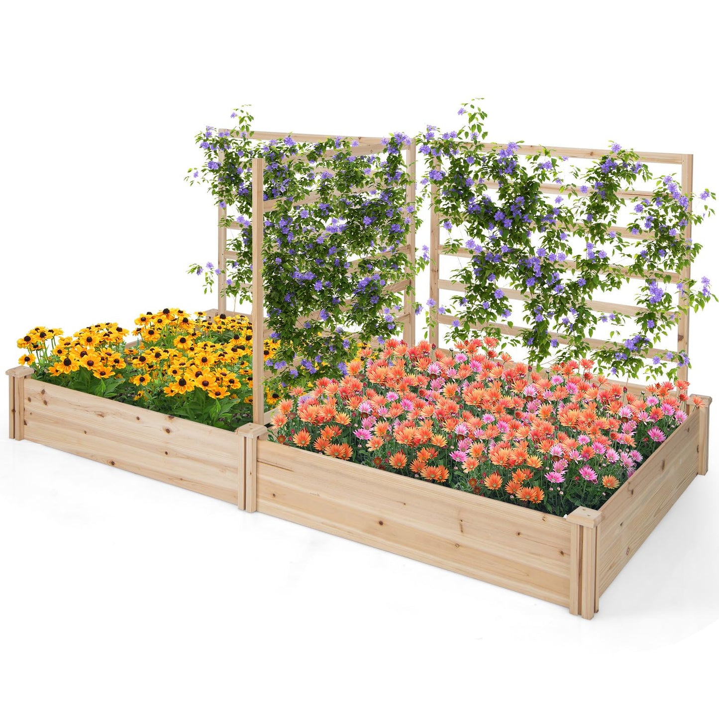 S AFSTAR Raised Garden Bed with 3 Trellis & 2 Planter Boxes, Outdoor Wooden 88" L x 45" W x 43" H Planter Box Kit for Flower Herb Vegetable Fruit Climbing Vines, Gardening Planter for Garden Patio