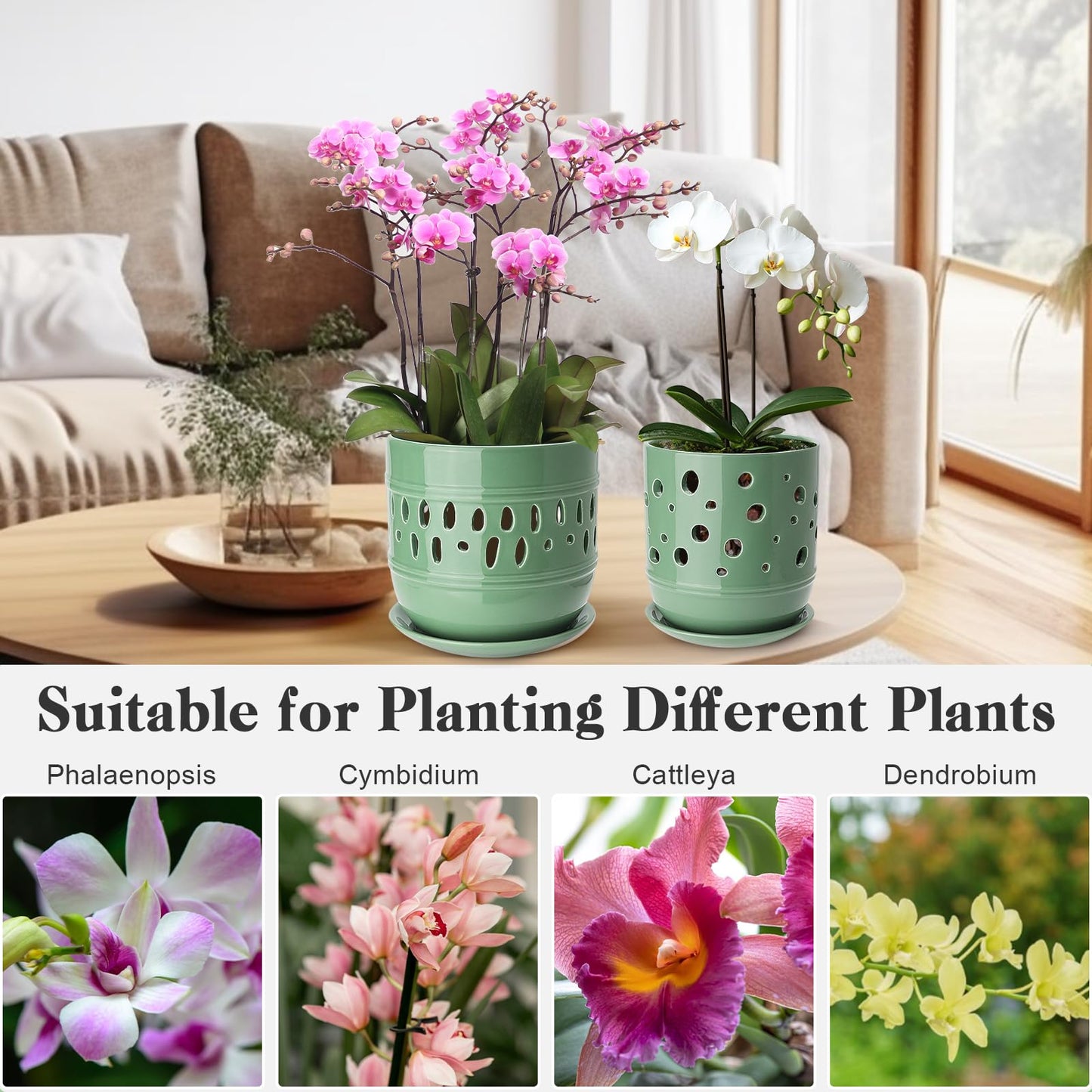 Orchid Pots with Holes, 5+6 Inch Large Orchid Pot with Drainage and Saucers, Ceramic Orchid Planter for Indoor/Outdoor Set of 2 Flower Pots - Pea Green