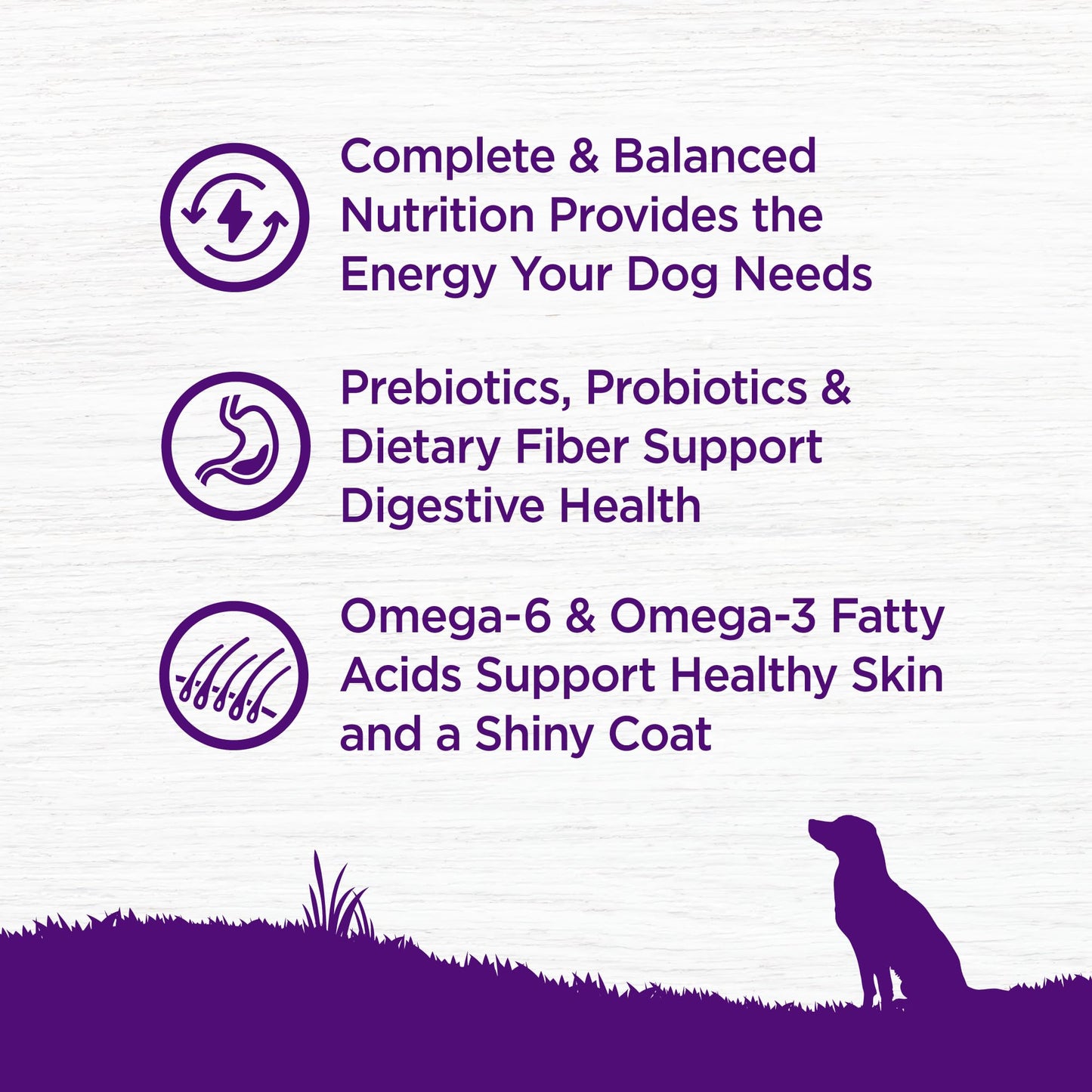 Wellness Complete Health Dry Dog Food with Grains, Made in USA with Real Meat & Natural Ingredients, All Breeds, Adult Dogs (Chicken & Oatmeal, 30-lb) – With Nutrients for Immune, Skin, & Coat Support