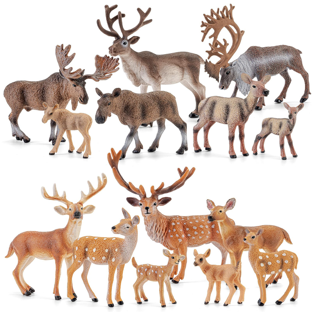 THINKBAY 14 PCS Deers Family Figurines Set - Elk, Reindeer, Moose, Sika Deer, Whitetail Deer - Realistic Solid Wild Animal Figures for Kids 3+, Educational Toys, Cake Toppers, Party Favors