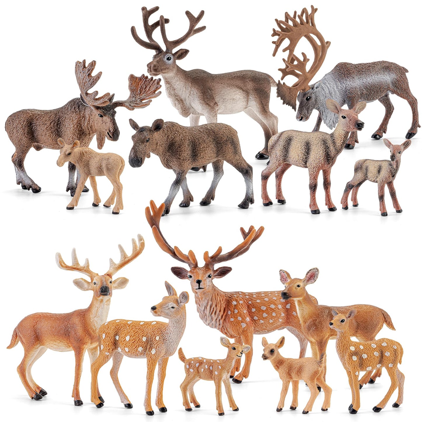THINKBAY 14 PCS Deers Family Figurines Set - Elk, Reindeer, Moose, Sika Deer, Whitetail Deer - Realistic Solid Wild Animal Figures for Kids 3+, Educational Toys, Cake Toppers, Party Favors