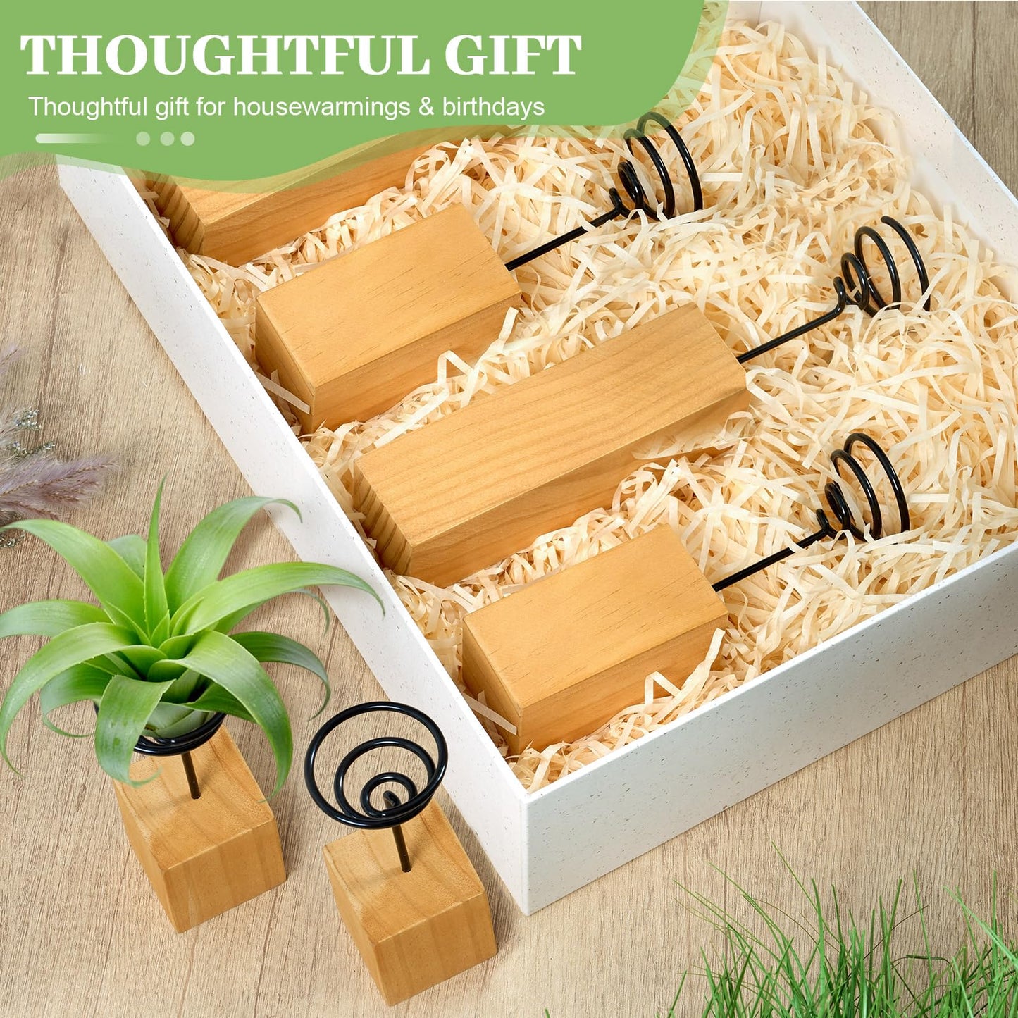 ARQRHTLY 3 Pack Air Plant Holder with Wooden Base, Metal Spiral Tillandsia Stands for Desktop Shelf Display, Decorative 3 Sizes Air Plant Holder for Home Office and Housewarming Gift