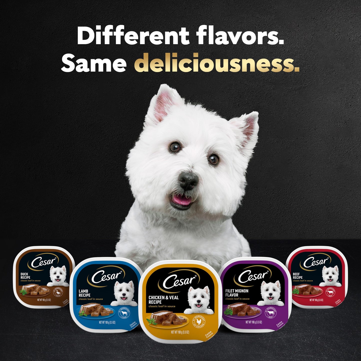 Cesar Wet Dog Food Classic Loaf in Sauce Poultry Variety Pack, 3.5 oz. Easy Peel Trays (24 Count, Pack of 1)