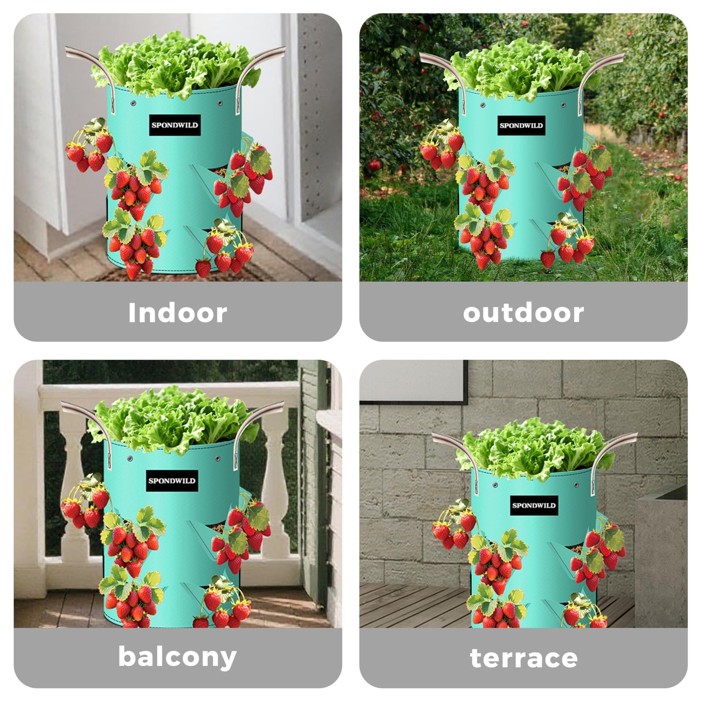 SPONDWILD 3 Pack 10 Gallon Strawberry Grow Bags, Heavy Duty PE Plant Pots with Breathable Windows and Drainage Holes, Ideal for Strawberries, Veggies, Flowers and Balcony