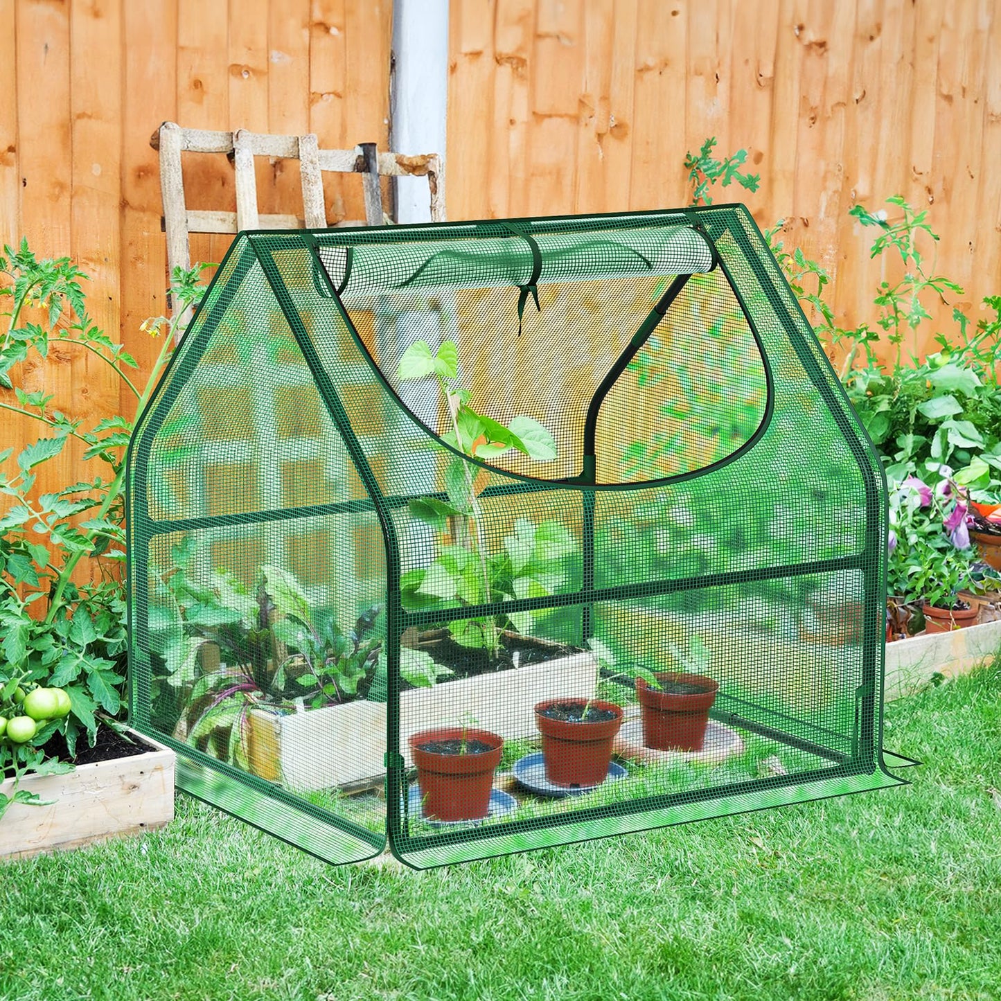 Greatbuddy Portable 3×3×3FT Mini Greenhouse, High-Density PE Plant Cover with Roll-up Zipper Window, Perfect for Indoor Outdoor Plant Growing