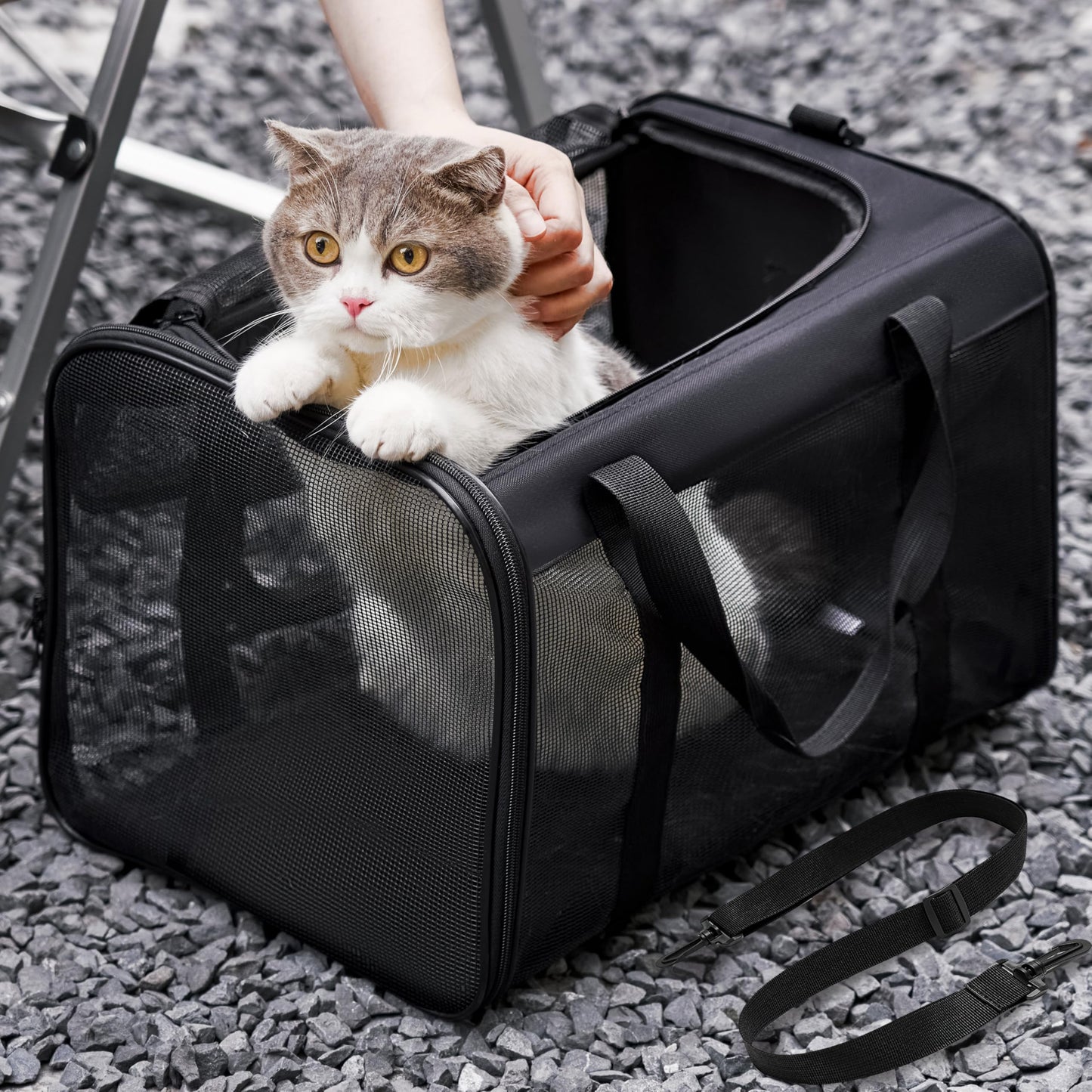 Conlun Cat Carrier Bag,Soft-Sided Pet Carriers for Dogs with 4-Sided Mesh,Airline Approved Cat Transport Carrier for Small&Medium Cats Kitten Puppy Up to 6Kg,Collapsible Cat Travel Carrier-M,Black