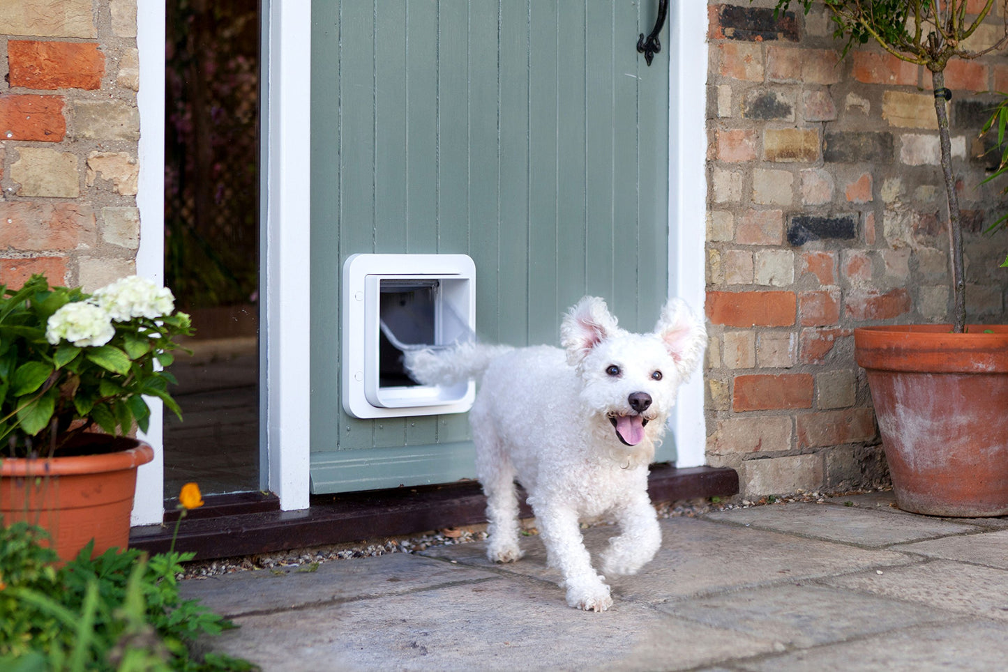 SureFlap-Sure Petcare Microchip Pet Door (White)