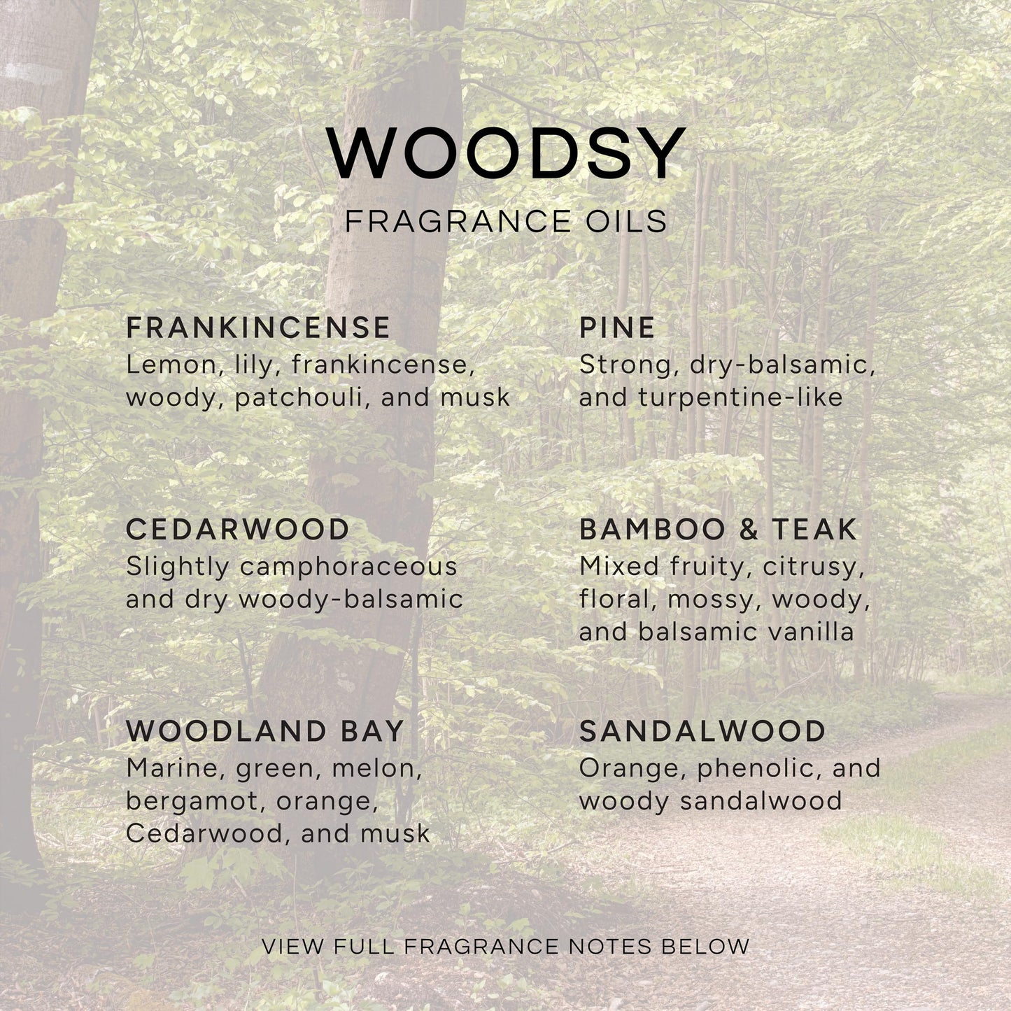Eternal Essence Oils Woodsy Premium Fragrance Oils Set - Including Pine, Cedar Wood, Sandalwood, Bamboo & Teak, Woodland Bay and Frankincense - Rustic and Woody Scented Oils (6 Pack)