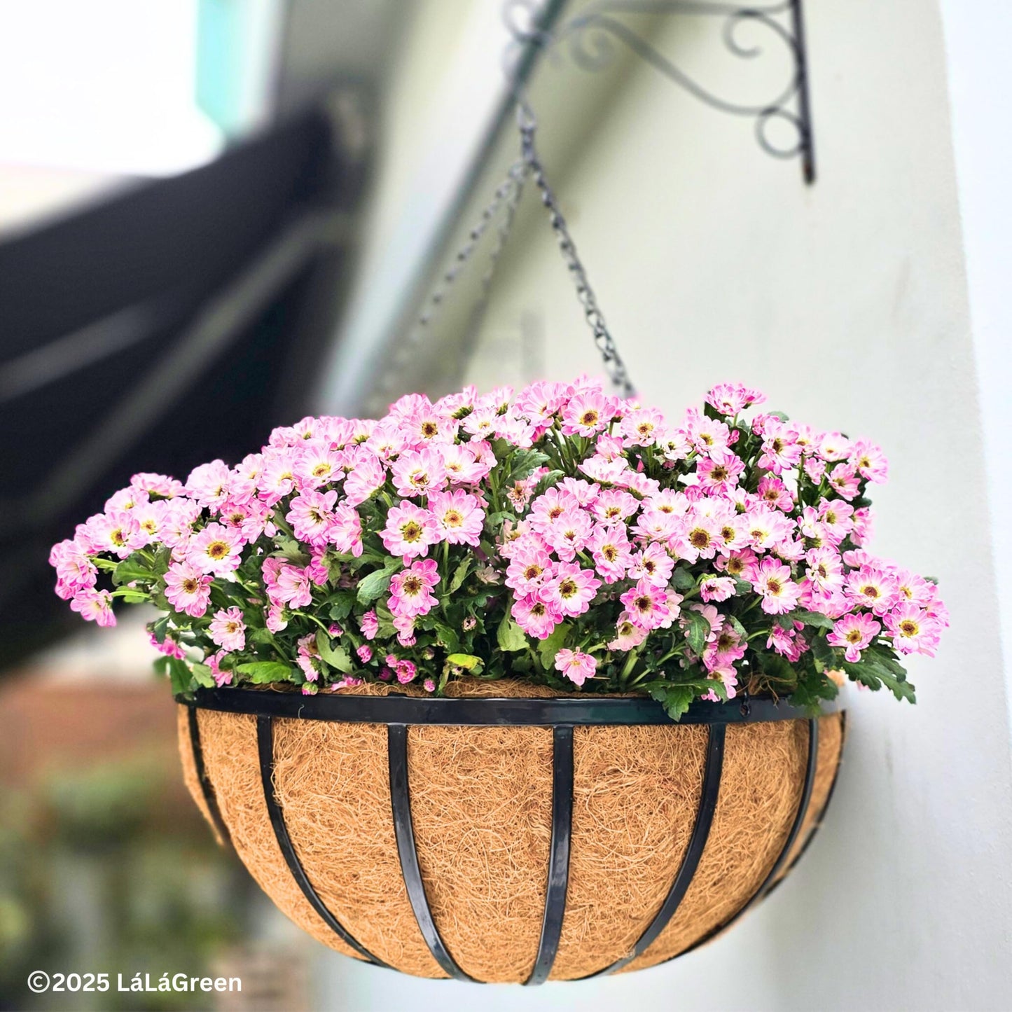 LaLaGreen Outdoor Hanging Baskets for Plants (20 Inch, 4 Pack) Extra Large Black Metal Flat Iron Hanging Planter with Coco Liner Round Flower Pot Holder Deck Porch Modern Garden Balcony Rustic Decor