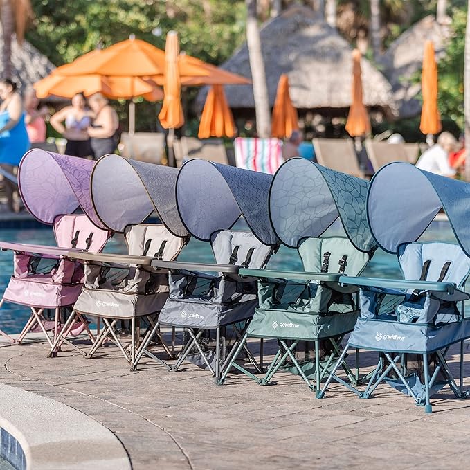 Baby Delight Go with Me Venture Portable Chair | Indoor and Outdoor | Sun Canopy | 3 Child Growth Stages | Blue Wave