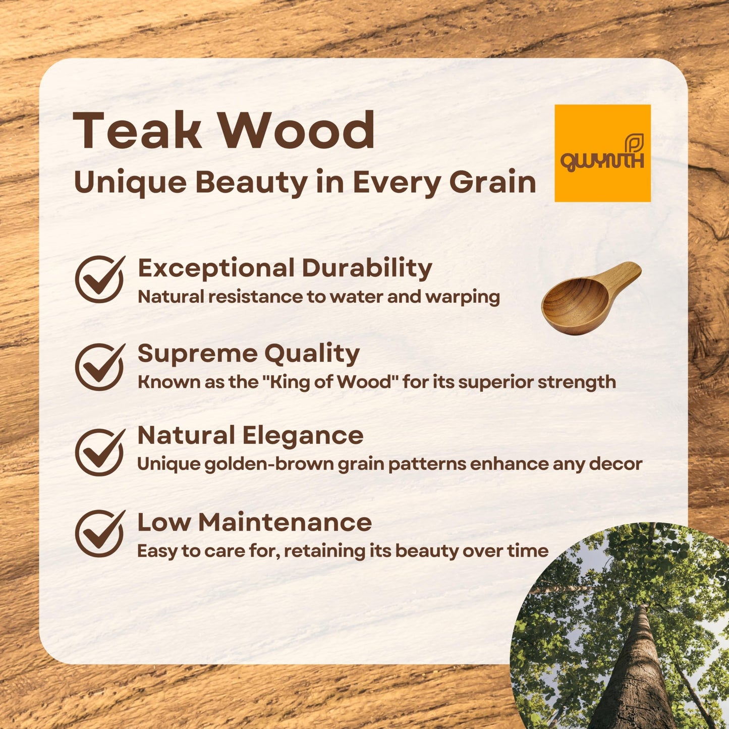 GWYNTH 2 Pieces Small Wooden Spoon, Short Handle Teak Wood Scoops for Coffee Beans Tea Salt Sugar for Spice Jars and Short Containers