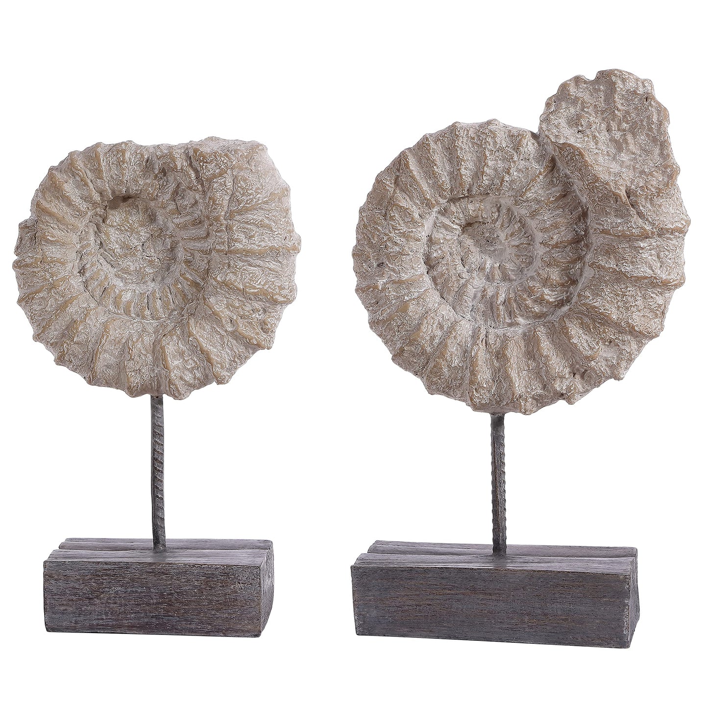 SAFAVIEH Home Collection Toren Nautical Ammonite Shell Table Decor (Set of 2) RDC1208A-SET2, Black/White