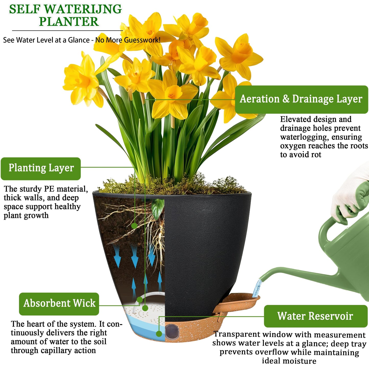 6 Inch Self Watering Pots for Indoor Plants(5-Pack) – Small Plastic Planters with Water Level Window, Drainage Holes & Detachable Trays, Indoor Outdoor Flower Pots for Herbs, Snake,Pothos(Black)
