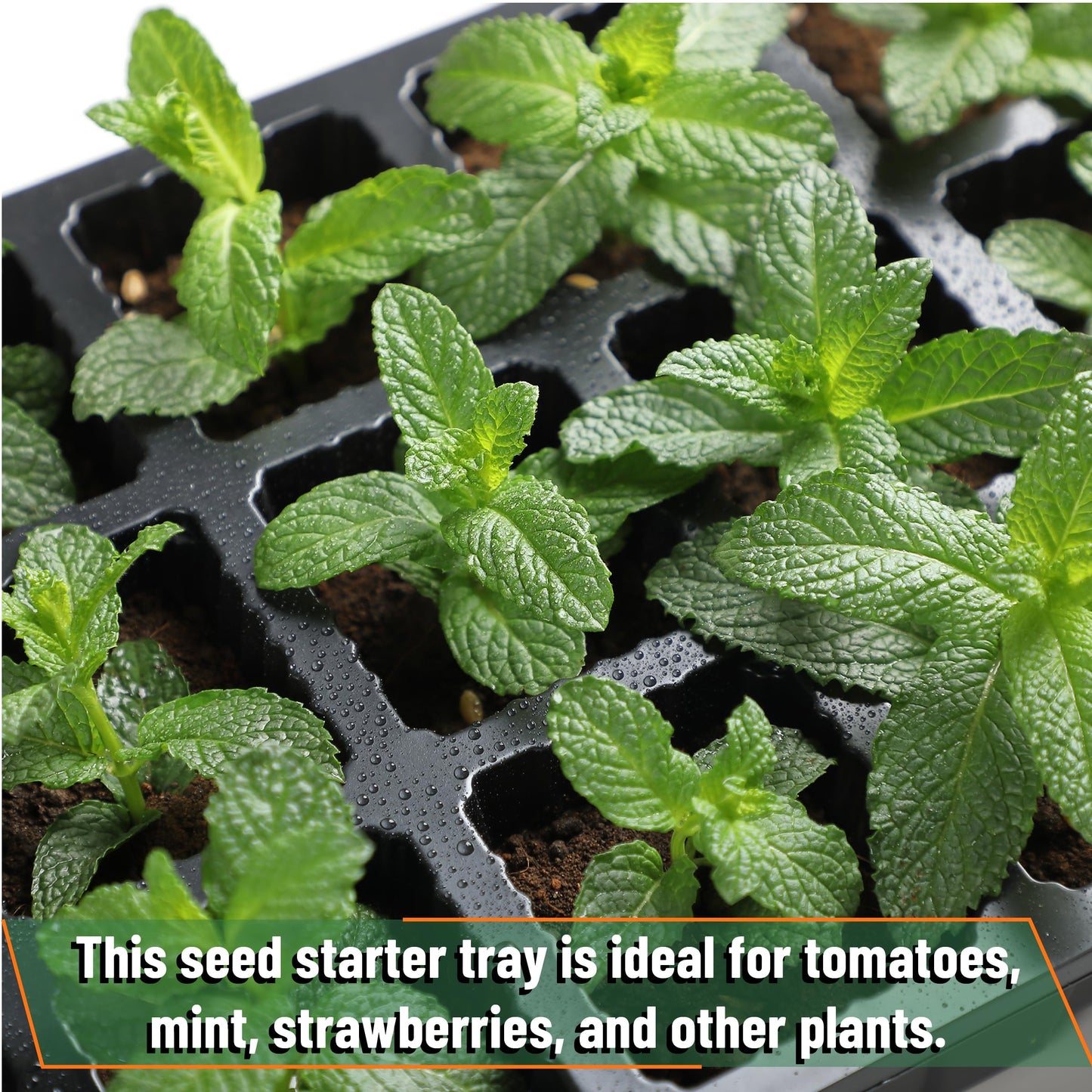 Mr. Pen- Seed Starter Tray Kits, 10 Pack, Total 400 Cells, Durable Plant Germination Trays with Humidity Vented Domes and Bases, Ideal for Seed Starting, Indoor Gardening and Greenhouse