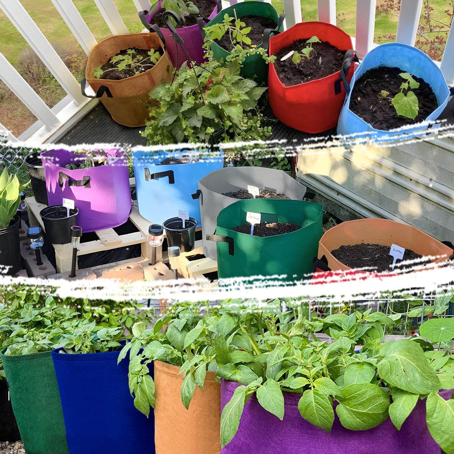 7 Pack 5 Gallon Plant Grow Bags - Mixed 7 Colors with Reinforced Handles & Aeration Design, Ideal for Tomato, Flowers & Fruits
