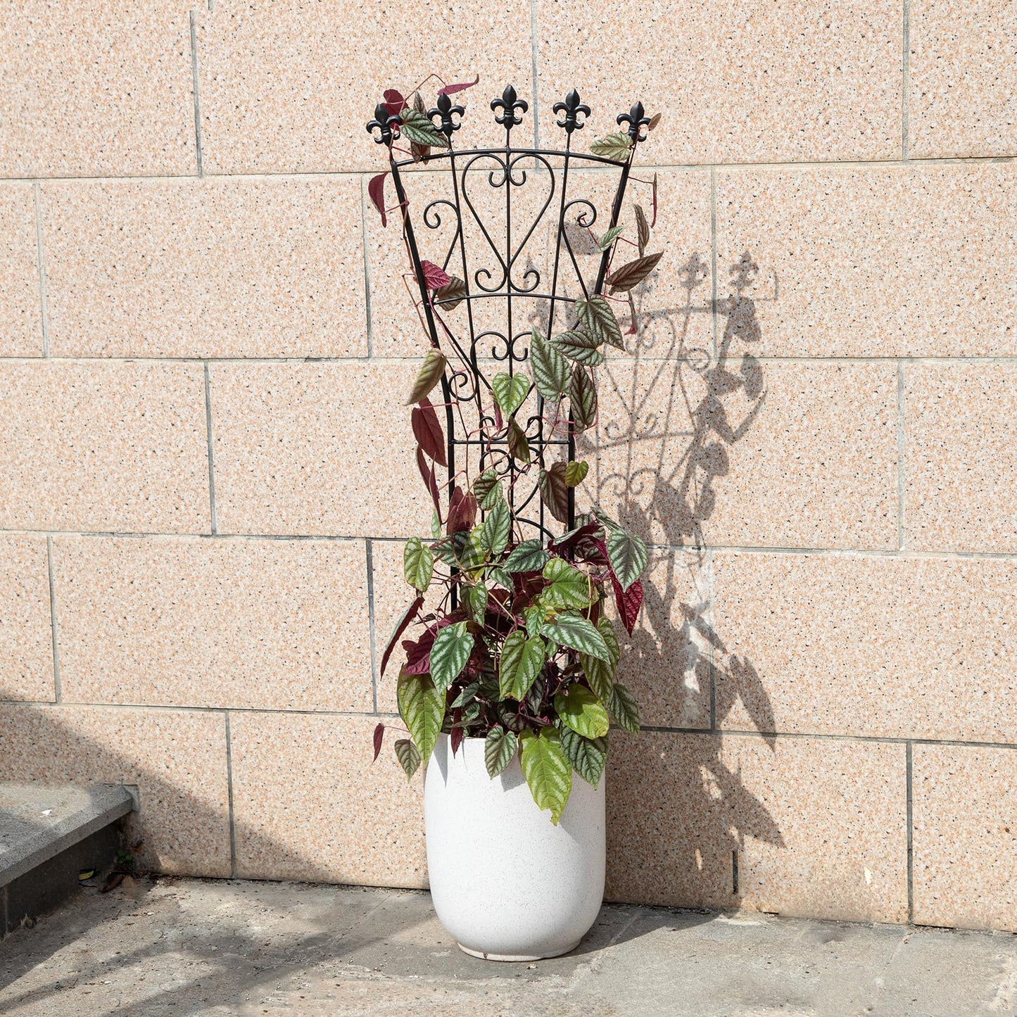 GOOOXIM Heavy Duty Indoor Trellis for Climbing Plants Set of 3 – 31x12 Inches Premium Iron Plant Support for Garden, Balcony, and Indoor Spaces – Perfect for Monstera and Other Houseplants