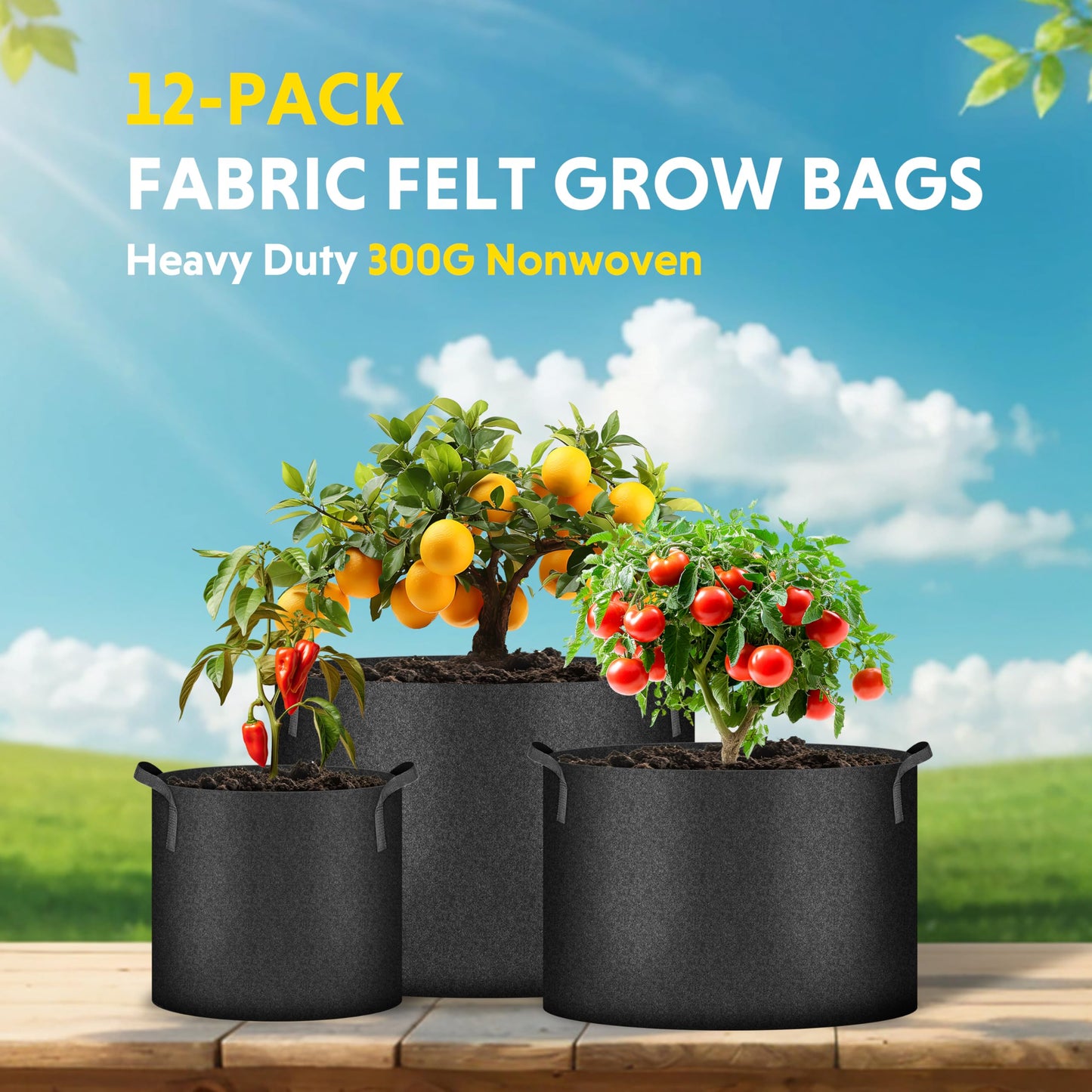 iPower 12-Pack 10 Gallon Grow Bags Heavy Duty Thickened Aeration Nonwoven Fabric Pots with Nylon Handles and 12 Labels for Planting Vegetables, Fruits, Flowers, Black