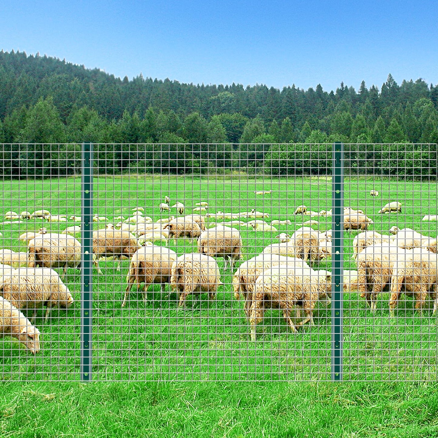 URBANVISTA 10 Pack Metal Fence Posts, 3 FT Heavy Duty U-Post, Green Garden Stakes, No-Dig Post Anchors for Wire Fences, Temporary Fencing, Electric Fence, and Corner Support
