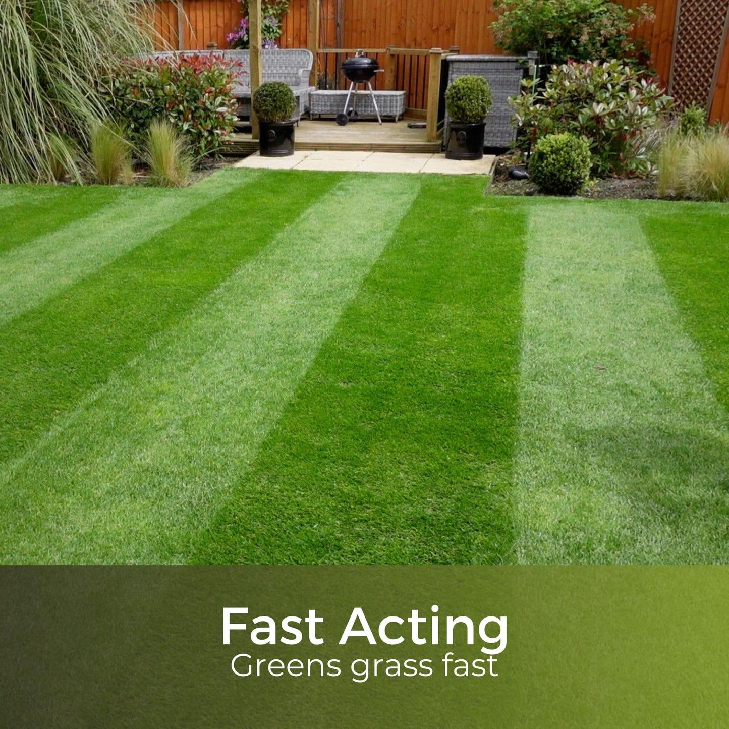 Dark Green Lawn Fertiliser - Autumn/Winter Grass Feed - Fast Acting & Long Lasting - Safe for Gardens - Child and Pet Friendly Turf Thickener - Garden Lawncare Guy