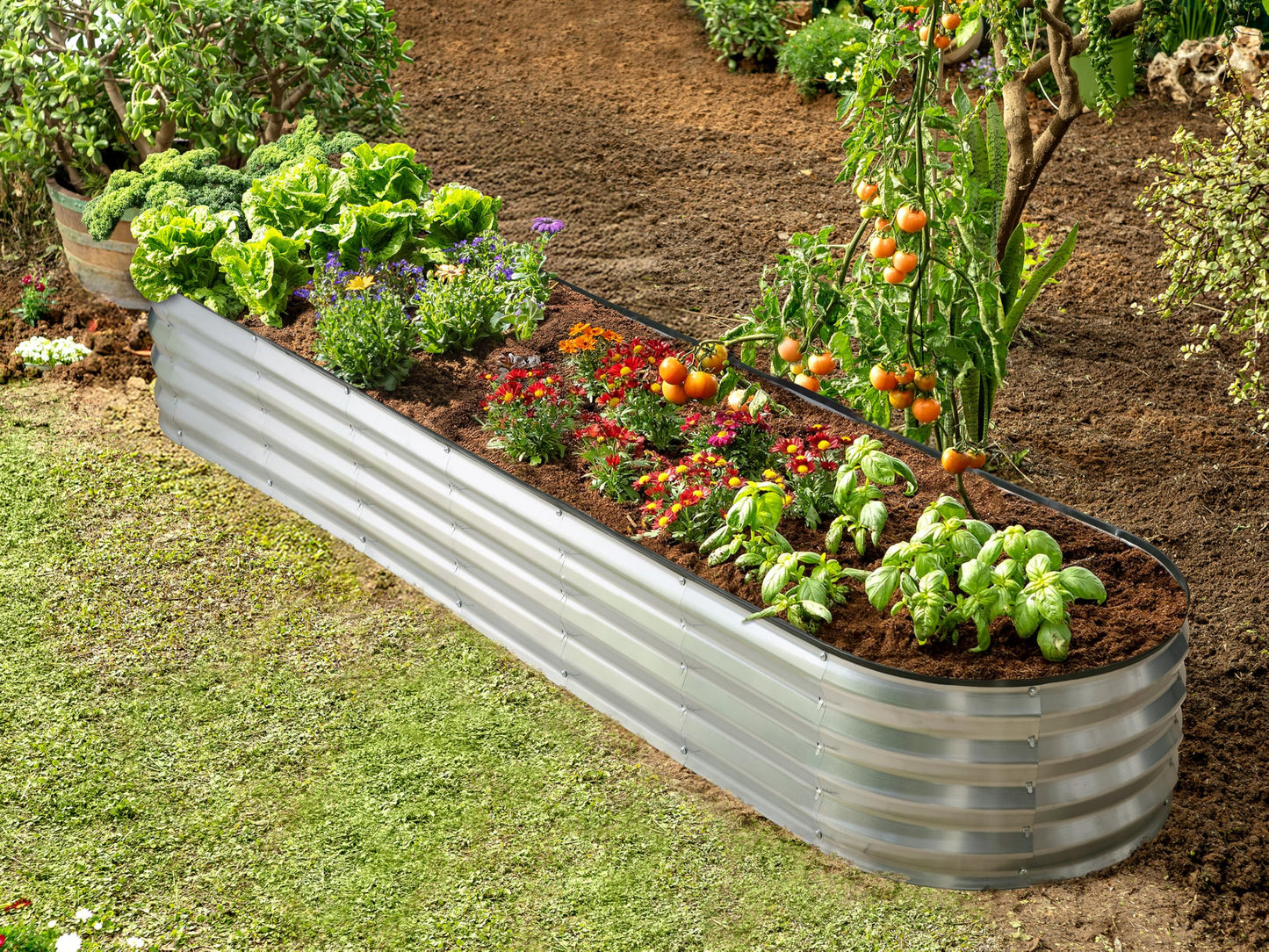 Plant & Plot Galvanized Raised Garden Beds Outdoor // 8×2×1 ft Planter Raised Beds for Gardening, Vegetables, Flowers // Large Metal Garden Box (Silver) // Patented Tool-Free Design