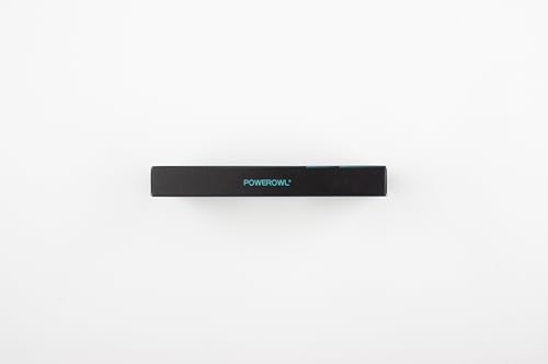 POWEROWL AA Batteries, 1.5V Lithium Battery, Double A Battery - Pack of 8 (Not Rechargeable)