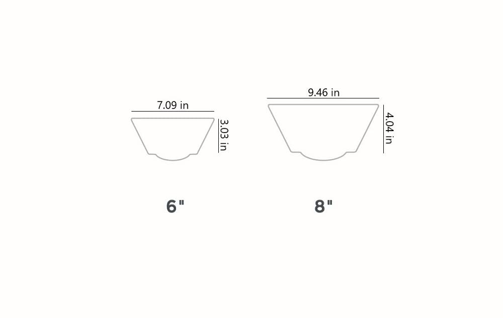 The HC Companies 6 Inch Venus Succulent Planter - Unique Decorative Shallow Plastic Plant Pot with Drainage, Vanilla Bisque