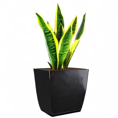The HC Companies ASP08000P26 Square Planter, 8", Black Onyx