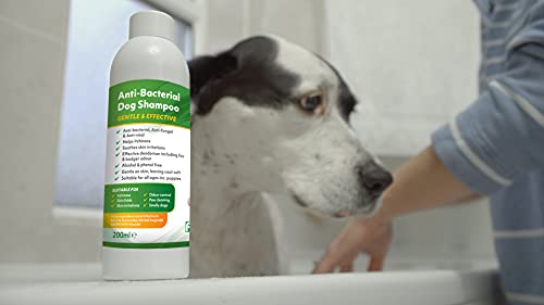 Aqueos Antibacterial, Antiviral & Antifungal Dog Shampoo for Itchy Skin, Minor-Wounds Cuts Grazes Skin Irritations & Sensitive Skin | Soothing & Deodorising Medicated Shampoo Alternative | 1 Litre