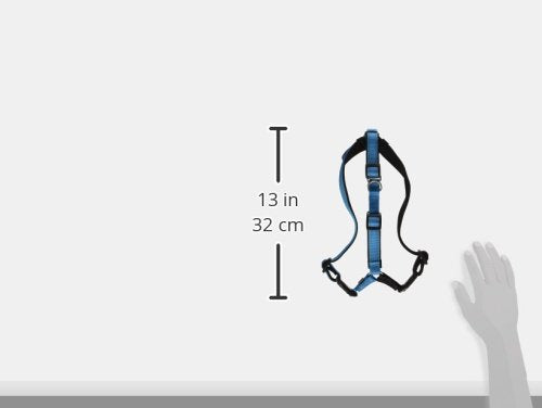 PetSafe Easy Walk Deluxe Dog Harness, No Pull Dog Harness – Perfect for Leash & Harness Training – Stops Pets from Pulling and Choking on Walks – Medium, Ocean