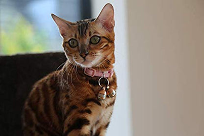 Beau's Bells 2 Extra Loud Cat & Dog Bells | Pet Tracker | Save Birds & Wildlife Handmade Copper (Small)