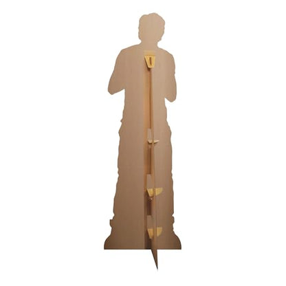 Star Cutouts CS544 Cut Out of Niall Horan 1 Direction
