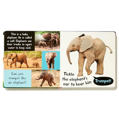 Noisy Baby Animals: Includes Six Sounds! (My First)