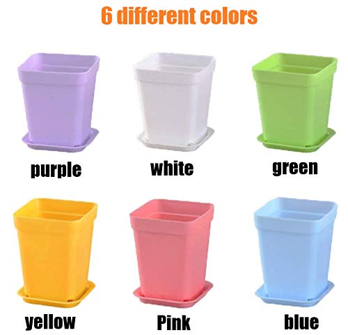 KAHEIGN 24Pcs Square Plant Pots, 7cm Thicken Plastic Flower Pots Succulent Planter Nursery Pots with Pallet/Trays for Small Potted Plants (6 Colors)