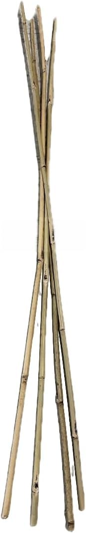 Farm Plastic Supply - Bamboo Garden Stakes - Bambo Sticks, Bamboo Plant Stakes for Outdoor Plants, Plant Support Stakes for Indoor Plants (4 Foot, 75)