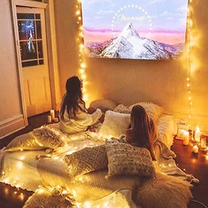 Christmas Curtain Lights 3m x 3m 300 LED, Curtain Fairy Lights Indoor/Outdoor, 8 Modes Remote Window Lights Adjustable Brightness, Curtain Light Warm White for Bedroom, Garden,Party,Christmas