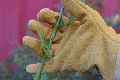 Rostaing RONCIER-IT10 "Robuste" Gloves - Brown