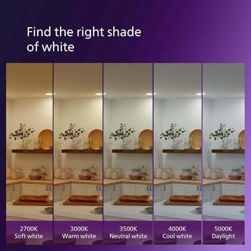 PHILIPS LED 75W A19 4-Pack Ultra Definition Daylight (5000K) 1100 Lumen (9W = 75W) Dimmable Frosted Flicker-Free Light Bulbs