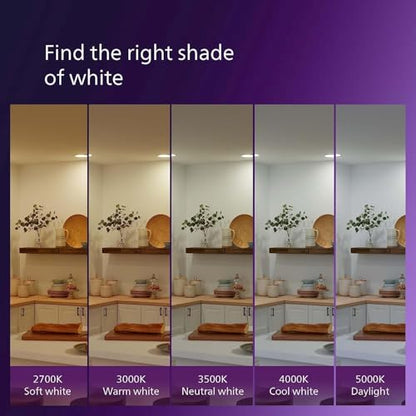 PHILIPS LED 75W A19 4-Pack Ultra Definition Daylight (5000K) 1100 Lumen (9W = 75W) Dimmable Frosted Flicker-Free Light Bulbs