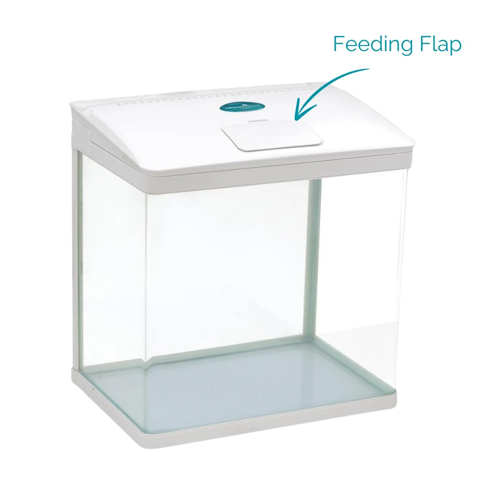 AllPondSolutions Nano Fish Tank with Filter and Light - Rectangular Aquarium Tank with LED Light, Tray Filter System, Curved Glass Front, 90° Tilting Hood - Cold Water Tropical Fish Tank - 29L, White