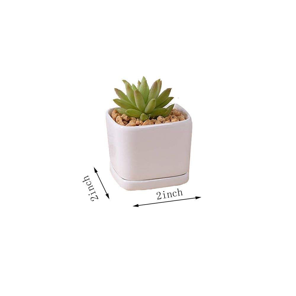 SeaStar Ceramic Succulent Mini Planter Pot,Mini 6 Set 2x1.65x2inch Square Modern Minimalist White/Window Box with Saucer for Office,Desk,House Balcony Landscape