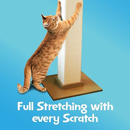 Smart Cat The Ultimate Scratching Post