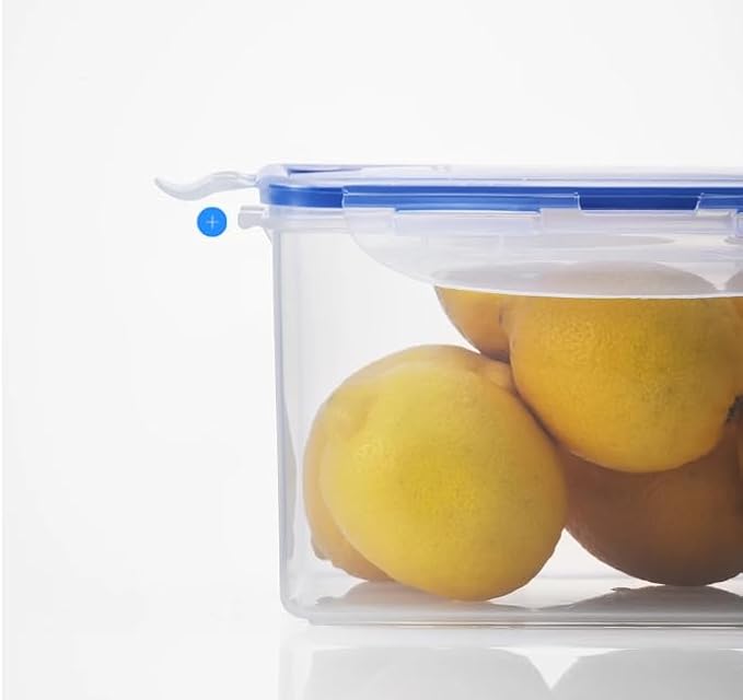 LOCK & LOCK Easy Essentials Storage Food Storage Container Set / Food Storage