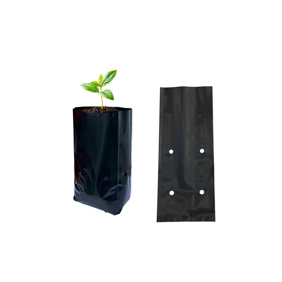 gardtree 100 Pcs Thicken Seedling Nursery Bags, 3.9" x 8" Deep Plastic Grow Bags with Drainage Holes, Heavy Duty Plant Starter Pots for Vegetables, Flowers, Succulents and Cuttings