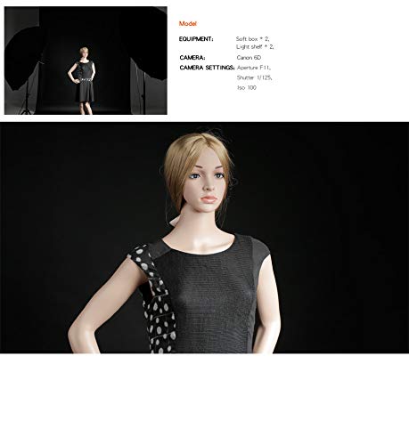 Godox 70 inch 180cm Black White Reflective Umbrella Studio Photography Umbrella, White Inner with Large Diffuser Cover, Bag