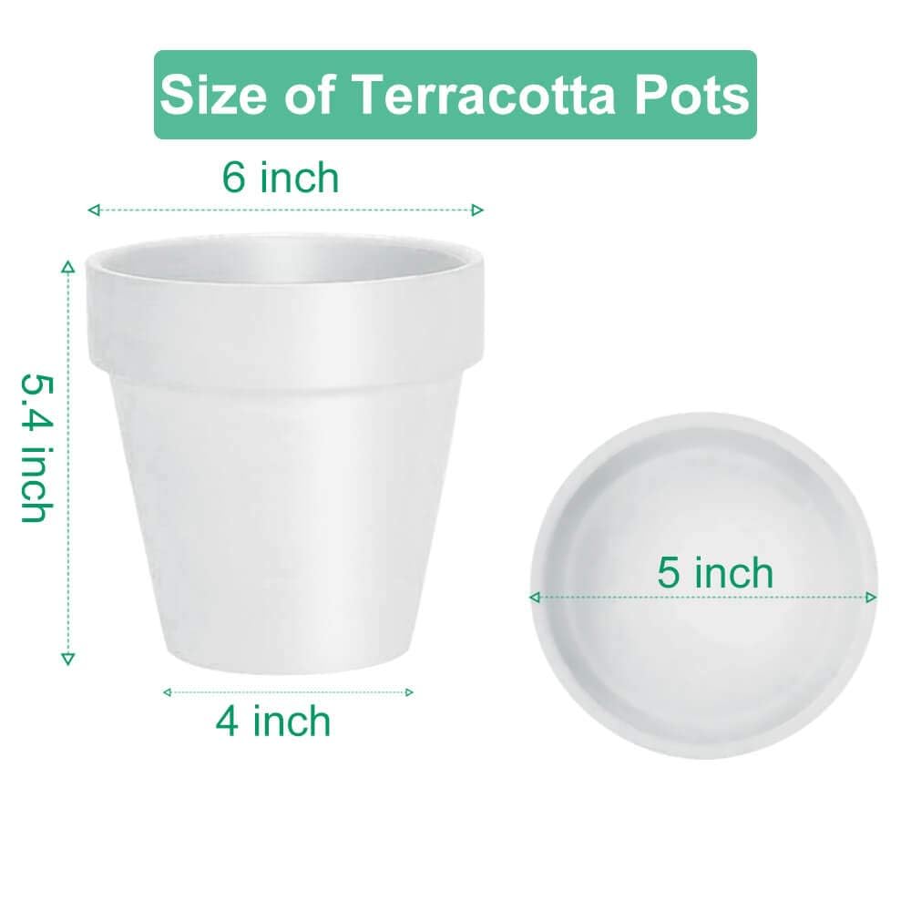 vensovo 6 Inch White Terracotta & Clay Pots for Plant with Saucer - 4 Pack Medium Terra Cotta Planter with Drainage Hole, Flowerpot for Indoor Outdoor Plants, Crafts, Wedding Favor