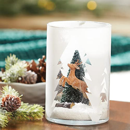 Yankee Candle, Balsam & Cedar Scented Candle, 22oz Large 2-Wick Tumbler with up to 110 Hour Burn Time