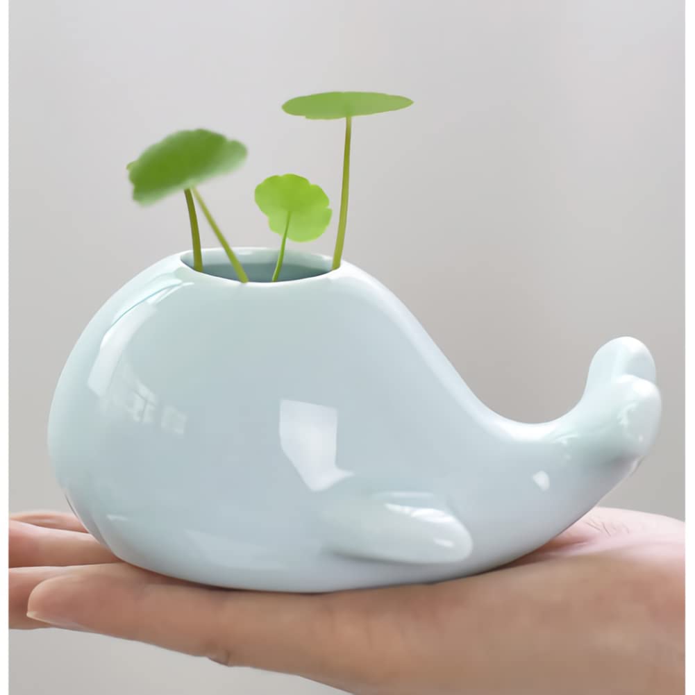 Mimeela Whale Planter Air Plant Holder Unique, Ceramic Animal Succulent Pots Large Air Plants Holders, Cactus Pot Airplant Planter Holder Office Desk Decor (Light Blue Whale)