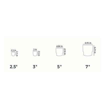 The HC Companies 3" Round Premium Plastic Sprite Pot Succulent Planter with Drainage - Vanilla Bisque with Copper Bottom Color