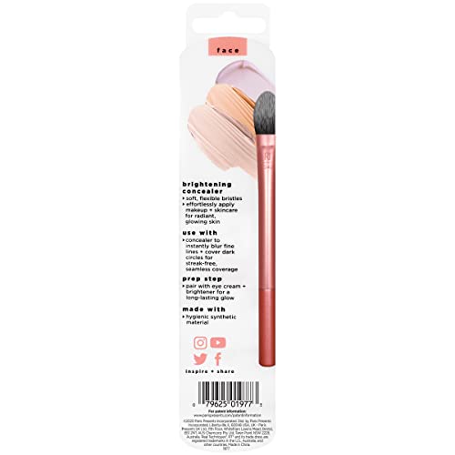 Real Techniques Matte & Merry Ultimate Blending 4 Piece Holiday Gift Set, Foundation Makeup Sponge, Dual-Sided Powder Puff, & 2 Makeup Brushes, Kitten Paw Brush, Stocking Stuffer, Limited Edition