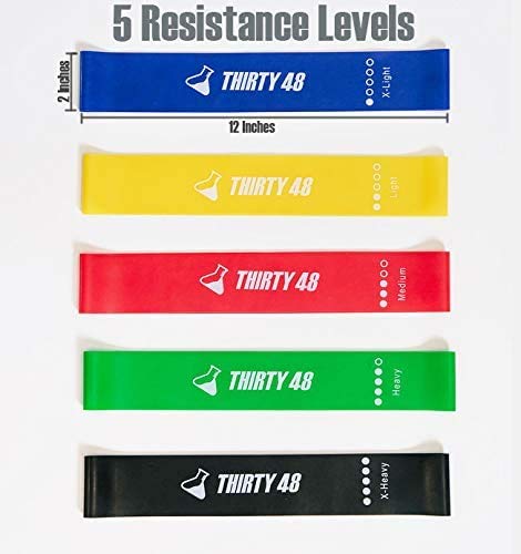 Thirty48 Gliding Discs Core Sliders and 5 Exercise Resistance Bands | Strength, Stability, and Training for Home, Gym, Travel | User Guide & Carry Bag